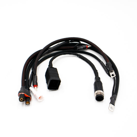 EBMX X-9000 V2 wiring harness and mounting kit for E Ride Pro SS