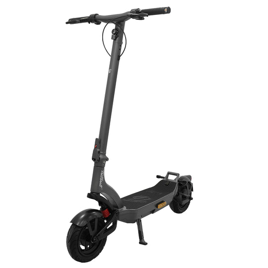 Trittbrett - E-Scooter - <BR> Der neue Fritz
