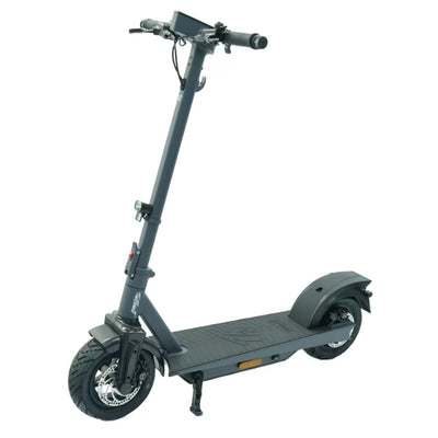 Trittbrett - E-Scooter - <BR> Der neue Paul