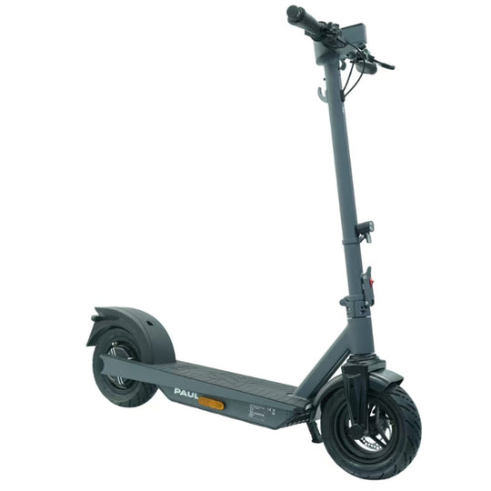 Trittbrett - E-Scooter - <BR> Der neue Paul