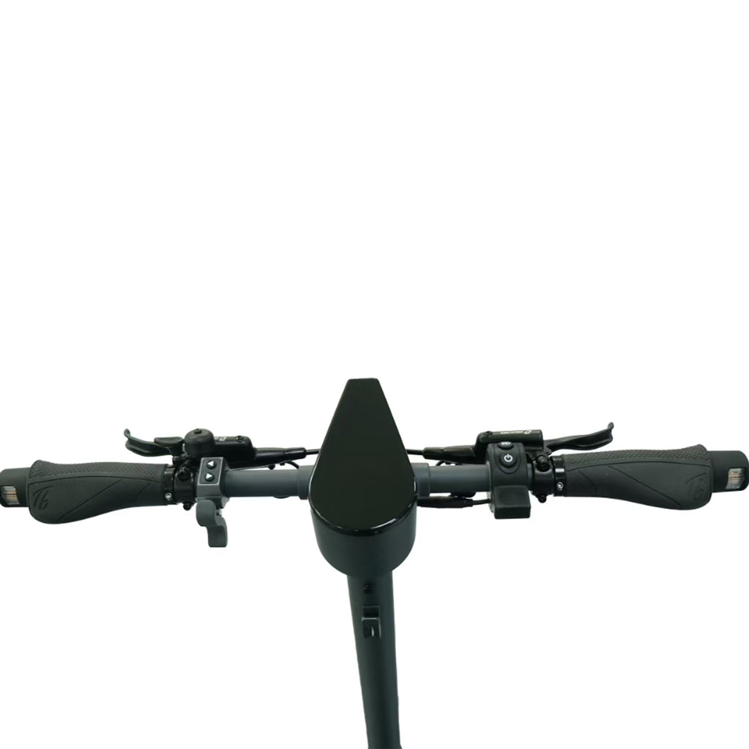 Trittbrett - E-Scooter - <BR> Der neue Paul