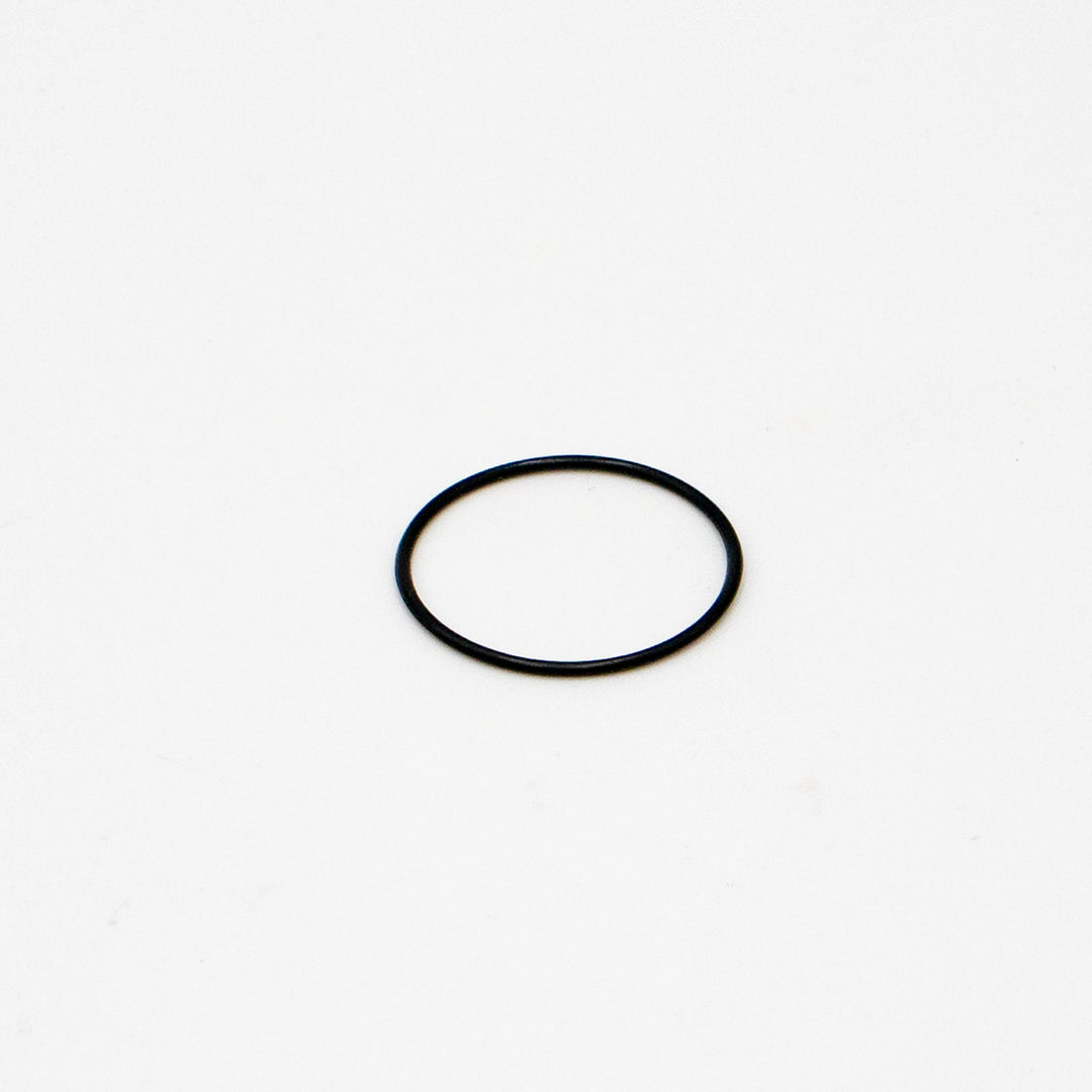 O-Ring für Light Bee & E Ride Pro SS