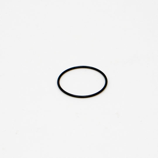 O-Ring für Light Bee & E Ride Pro SS