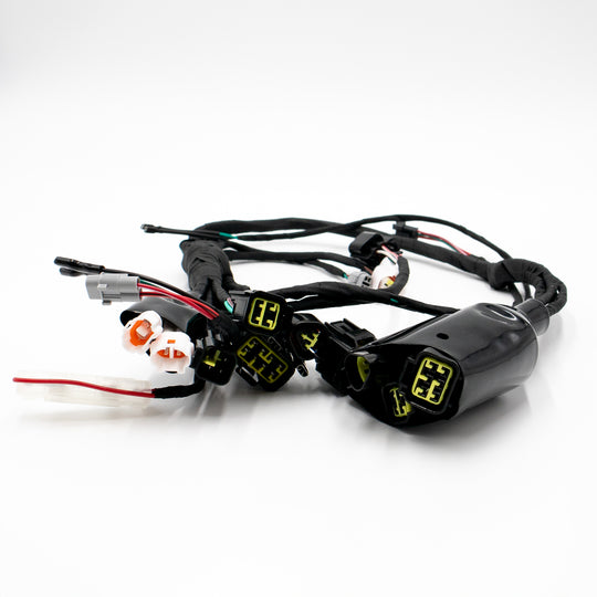 SURRON Original Kabelbaum für Light Bee