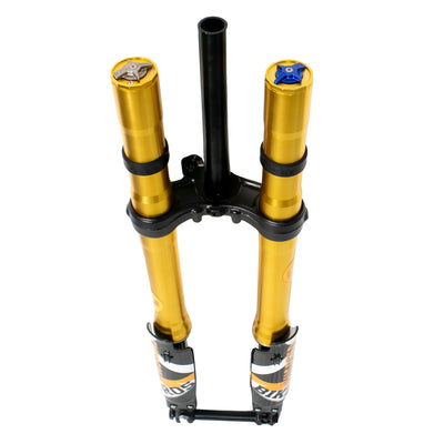 FastAce 2.0 suspension fork for Light Bee &amp; E Ride Pro SS