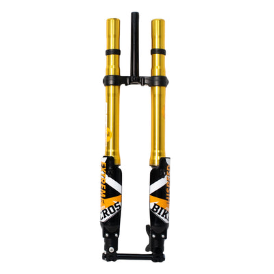 FastAce 2.0 suspension fork for Light Bee &amp; E Ride Pro SS