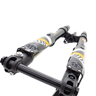 FastAce 2.0 suspension fork for Light Bee &amp; E Ride Pro SS